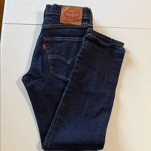 Levi's Men's Dark Indigo Straight Jeans